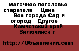 маточное поголовье старателя  › Цена ­ 3 700 - Все города Сад и огород » Другое   . Камчатский край,Вилючинск г.